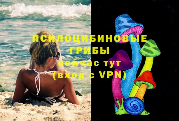 прущие грибы Абдулино
