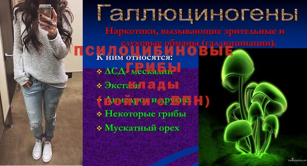 прущие грибы Абдулино