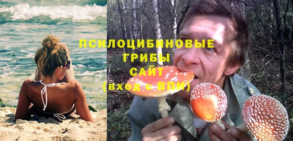 ECSTASY Абаза