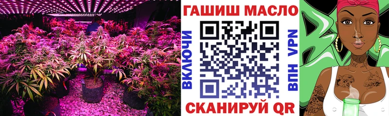 Дистиллят ТГК концентрат  купить наркоту  Серафимович 