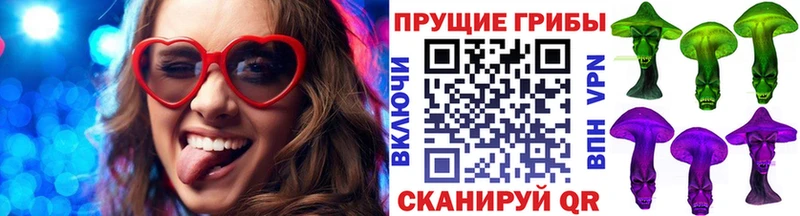 Галлюциногенные грибы GOLDEN TEACHER  купить наркотик  Серафимович 